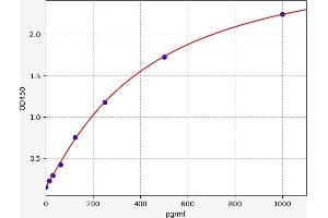 Typical standard curve (CD97 ELISA 试剂盒)
