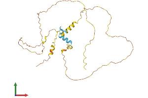 Protein Structure (PS) image for Cbp/p300-Interacting Transactivator, with Glu/Asp-Rich Carboxy-terminal Domain, 2 (CITED2) (AA 1-269) protein (His tag) (ABIN7562379)