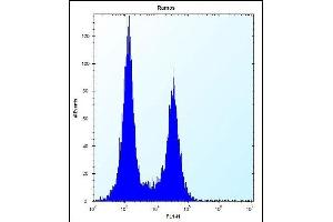 UBN2 Antibody (N-term) (ABIN657446 and ABIN2846474) flow cytometric analysis of Ramos cells (right histogram) compared to a negative control cell (left histogram). (UBN2 抗体  (N-Term))