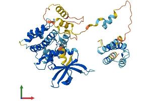 AlphaFold protein structure predicition of Human Recombinant MAPKAPK5 Protein, UniprotID Q8IW41