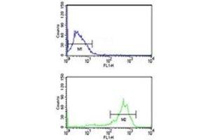Anti-beta Tubulin antibody flow cytometry analysis of MCF-7 cells (bottom histogram) compared to a negative control cell (top histogram). (TUBB1 抗体)
