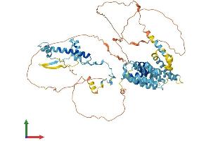 AlphaFold protein structure predicition of Mouse Recombinant Taf6 Protein, UniprotID Q62311