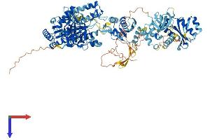 AlphaFold protein structure predicition of Human Recombinant ERVK-11 Protein, UniprotID Q9UQG0