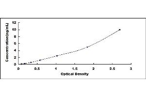 Typical standard curve (MYH7B ELISA 试剂盒)