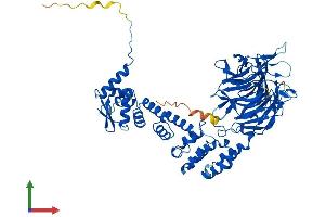 Protein Structure (PS) image for Kelch-Like 36 (KLHL36) (AA 1-616) protein (His tag) (ABIN7548825)