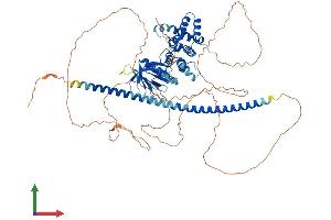Protein Structure (PS) image for rho GTPase Activating Protein 24 (ARHGAP24) (AA 1-748) protein (His tag) (ABIN7555229)
