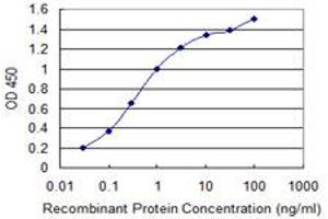 Detection limit for recombinant GST tagged IL1F9 is 0. (IL1F9 抗体  (AA 1-110))
