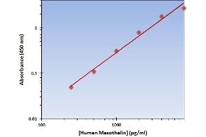 This is an example of what a typical standard curve will look like. (Mesothelin ELISA 试剂盒)