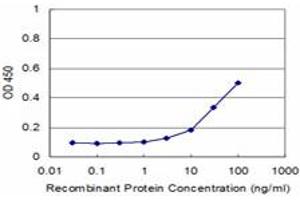 Detection limit for recombinant GST tagged AKAP12 is approximately 3ng/ml as a capture antibody. (AKAP12 抗体  (AA 1675-1782))