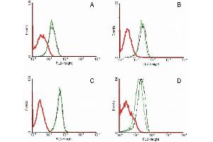 Flow cytometry analysis of 5-bromodeoxyuridin (BrdU) incorporation in CEM human acute lymphoblastic leukemia cell line using purified anti-5-bromodeoxyuridin (MoBu-1) (detection by Goat anti-mouse IgG1 FITC). (FAS 抗体)