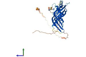 Protein Structure (PS) image for Retinoic Acid Receptor Responder (Tazarotene Induced) 1 (RARRES1) (AA 1-294) protein (His tag) (ABIN7544378)