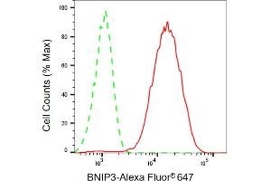 Flow cytometric analysis of BNIP3 expression in HepG2 cells using BNIP3 antibody (ABIN7797758), 1:1,000).