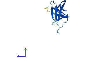 Protein Structure (PS) image for CTF8, Chromosome Transmission Fidelity Factor 8 (CHTF8) (AA 1-121) protein (His tag) (ABIN7562814)