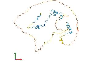 Protein Structure (PS) image for CDC42 Effector Protein (Rho GTPase Binding) 3 (CDC42EP3) (AA 1-254) protein (His tag) (ABIN7552880)