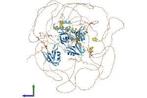 Protein Structure (PS) image for Interleukin 16 (IL16) (AA 1-1332) protein (His tag) (ABIN7554157)