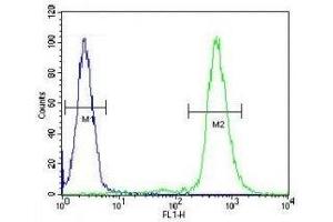 RPS6 antibody flow cytometric analysis of WiDr cells (green) compared to a negative control (blue). (RPS6 抗体  (AA 220-249))