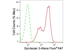 anti-Syndecan 3 (SDC3) antibody