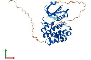 AlphaFold protein structure predicition of Mouse Recombinant Pim3 Protein, UniprotID P58750