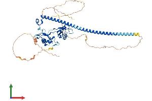 Protein Structure (PS) image for Paraspeckle Component 1 (PSPC1) (AA 1-523) protein (His tag) (ABIN7559722)