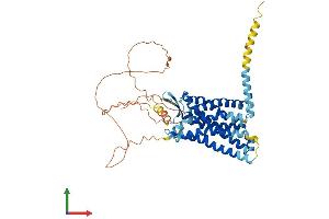 Protein Structure (PS) image for Complement Component 3a Receptor 1 (C3AR1) (AA 1-477) protein (His tag) (ABIN7562243)