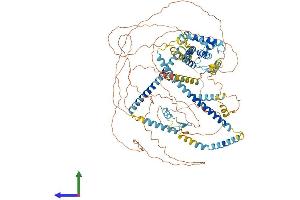 Protein Structure (PS) image for HAUS Augmin-Like Complex, Subunit 6 (HAUS6) (AA 1-955) protein (His tag) (ABIN7554061)