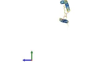 Protein Structure (PS) image for Morf4 Family Associated Protein 1 (MRFAP1) (AA 1-125) protein (His tag) (ABIN7560557)
