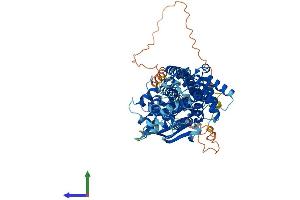 Protein Structure (PS) image for ATP-Binding Cassette, Sub-Family G (WHITE), Member 1 (ABCG1) (AA 1-666) protein (His tag) (ABIN7557832)