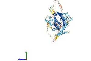 AlphaFold protein structure predicition of Human Recombinant AMFR Protein, UniprotID Q9UKV5