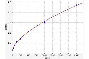Pleiotrophin (PTN) ELISA Kit