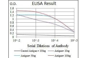 Black line: Control Antigen (100 ng), Purple line: Antigen(10 ng), Blue line: Antigen (50 ng), Red line: Antigen (100 ng), (DLL4 抗体)