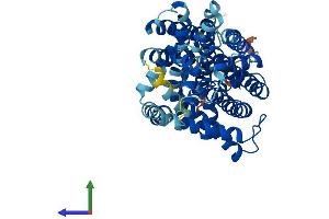 Protein Structure (PS) image for Solute Carrier Family 7, (Cationic Amino Acid Transporter, Y+ System) Member 11 (SLC7A11) (AA 1-501) protein (His tag) (ABIN7545204)
