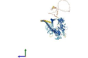 Protein Structure (PS) image for Caspase Recruitment Domain Family, Member 14 (CARD14) (AA 1-999) protein (His tag) (ABIN7564886)