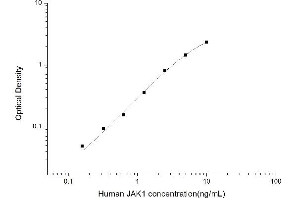 JAK1 ELISA 试剂盒