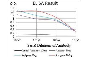 Fig. (Villin 1 抗体  (AA 1-209))