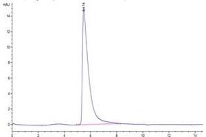 The purity of 2019-nCoV Spike S is greater than 95 % as determined by SEC-HPLC.