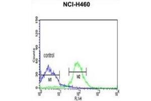 Flow Cytometry (FACS) image for anti-FK506 Binding Protein 9, 63 KDa (FKBP9) antibody (ABIN3003182) (FKBP9 抗体)