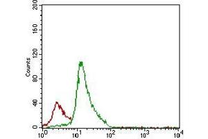 Flow cytometric analysis of Jurkat cells using CD7 mouse mAb (green) and negative control (red). (CD7 抗体  (AA 72-175))