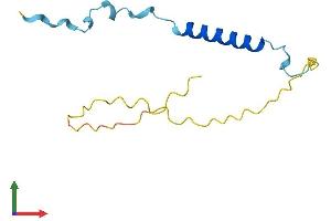 Protein Structure (PS) image for Anaphase Promoting Complex Subunit 15 (ANAPC15) (AA 1-121) protein (His tag) (ABIN7552101)