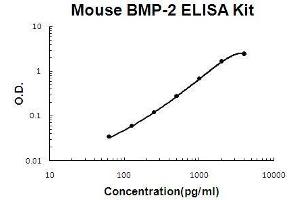 Mouse BMP-2 PicoKine ELISA Kit standard curve (BMP2 ELISA 试剂盒)