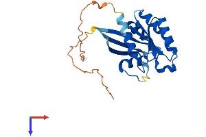 AlphaFold protein structure predicition of Human Recombinant RAB41 Protein, UniprotID Q5JT25