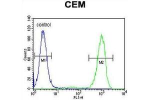 GPM6B Antibody (N-term) flow cytometric analysis of CEM cells (right histogram) compared to a negative control cell (left histogram). (GPM6B 抗体  (N-Term))