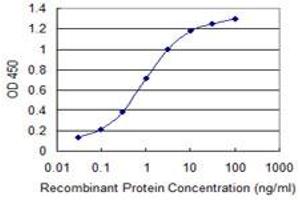 ELISA image for anti-Membrane Associated Guanylate Kinase, WW and PDZ Domain Containing 2 (MAGI2) (AA 519-628) antibody (ABIN523277)