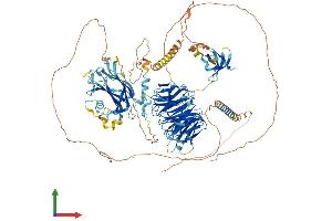 Protein Structure (PS) image for Abelson Helper Integration Site 1 (AHI1) (AA 1-1047) protein (His tag) (ABIN7564649)