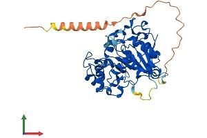 Protein Structure (PS) image for ST6 (Alpha-N-Acetyl-Neuraminyl-2,3-beta-Galactosyl-1,3)-N-Acetylgalactosaminide alpha-2,6-Sialyltransferase 2 (ST6GALNAC2) (AA 1-374) protein (His tag) (ABIN7546094)