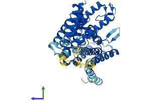Protein Structure (PS) image for Porcupine Homolog (PORCN) (AA 1-461) protein (His tag) (ABIN7561592)