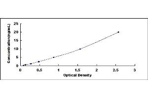 Typical standard curve (BMX ELISA 试剂盒)