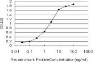 Detection limit for recombinant GST tagged TSC22D1 is approximately 0. (TSC22D1 抗体  (AA 1-144))
