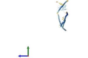 AlphaFold protein structure predicition of Mouse Recombinant Hook1 Protein, UniprotID Q8BIL5