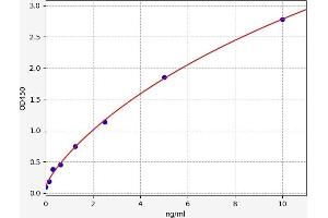 Typical standard curve (CYP1A2 ELISA 试剂盒)