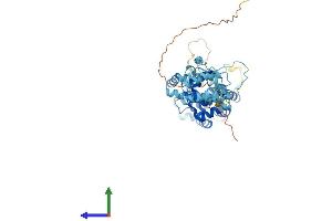 Protein Structure (PS) image for CCR4-NOT Transcription Complex, Subunit 11 (CNOT11) (AA 1-505) protein (His tag) (ABIN7560672)